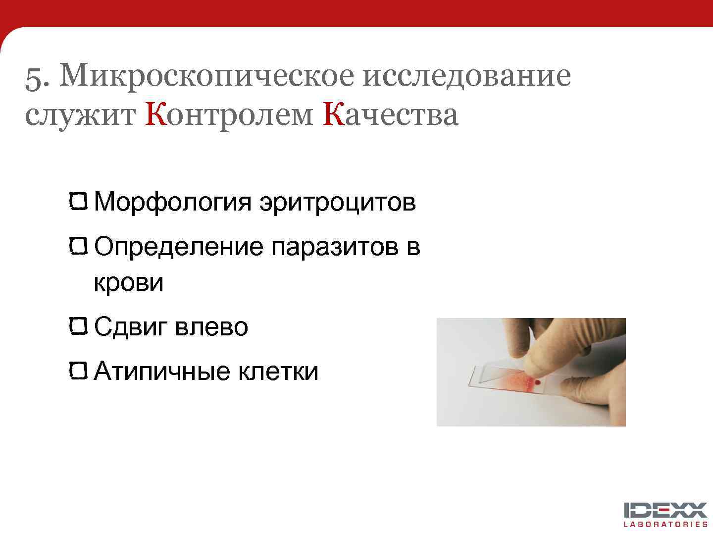 5. Микроскопическое исследование служит Контролем Качества Морфология эритроцитов Определение паразитов в крови Сдвиг влево