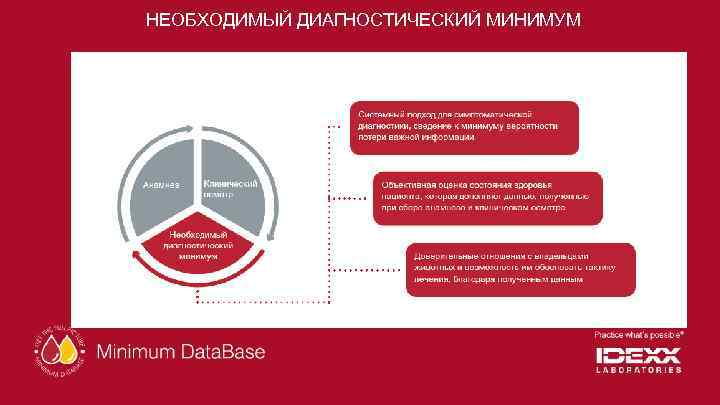 НЕОБХОДИМЫЙ ДИАГНОСТИЧЕСКИЙ МИНИМУМ 