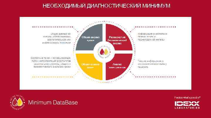 НЕОБХОДИМЫЙ ДИАГНОСТИЧЕСКИЙ МИНИМУМ 