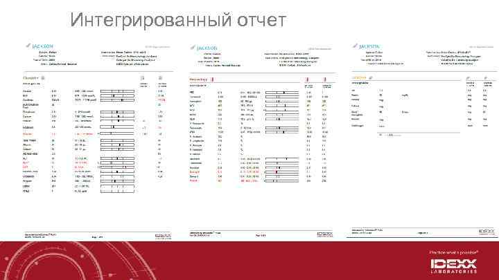 Интегрированный отчет 