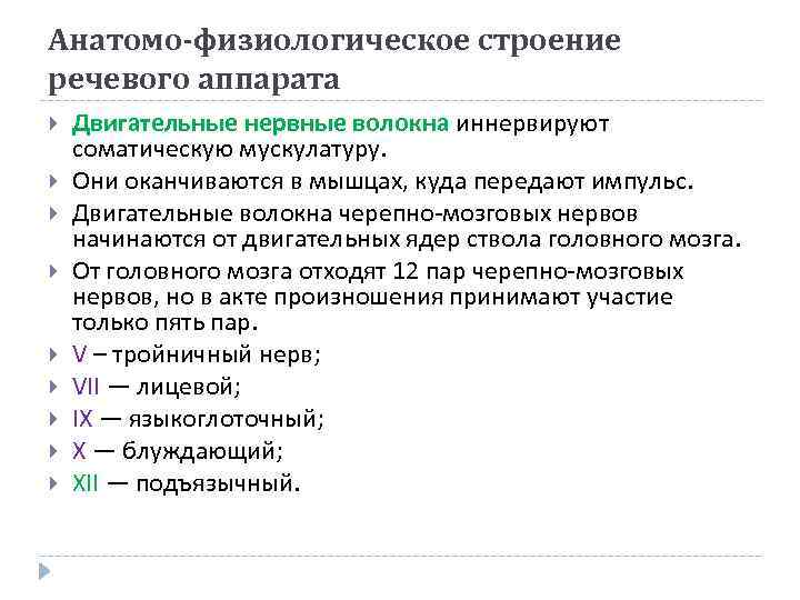 Анатомо-физиологическое строение речевого аппарата Двигательные нервные волокна иннервируют соматическую мускулатуру. Они оканчиваются в мышцах,