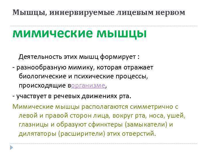 Мышцы, иннервируемые лицевым нервом мимические мышцы Деятельность этих мышц формирует : - разнообразную мимику,