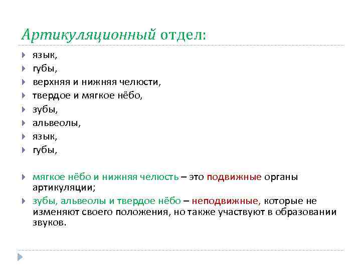 Артикуляционный отдел: язык, губы, верхняя и нижняя челюсти, твердое и мягкое нёбо, зубы, альвеолы,