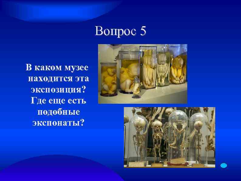 Вопрос 5 В каком музее находится эта экспозиция? Где еще есть подобные экспонаты? 