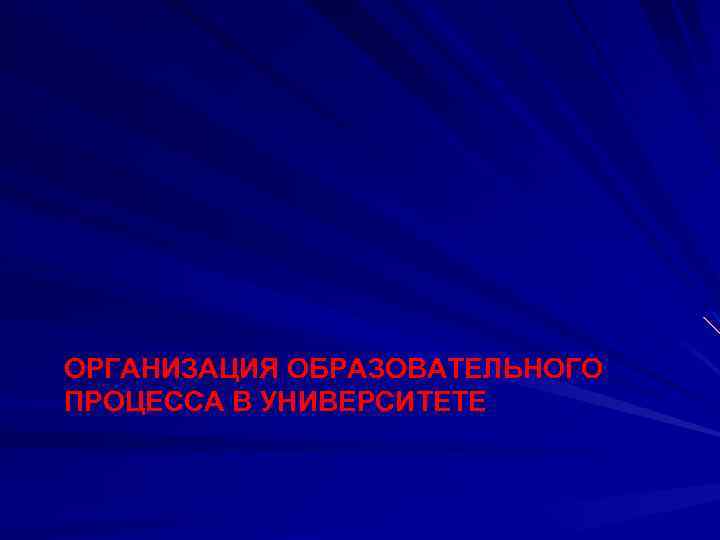 ОРГАНИЗАЦИЯ ОБРАЗОВАТЕЛЬНОГО ПРОЦЕССА В УНИВЕРСИТЕТЕ 