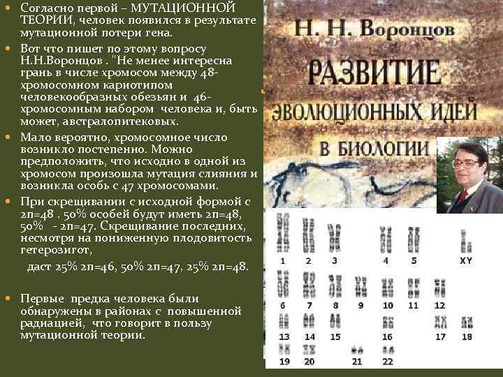  Согласно первой – МУТАЦИОННОЙ ТЕОРИИ, человек появился в результате мутационной потери гена. Вот