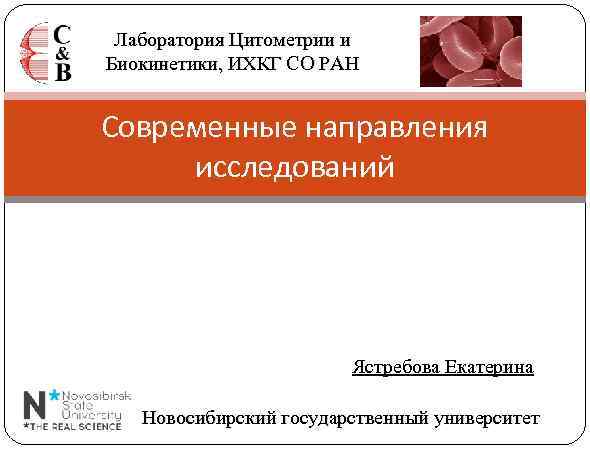 Лаборатория Цитометрии и Биокинетики, ИХКГ СО РАН Современные направления исследований Ястребова Екатерина Новосибирский государственный