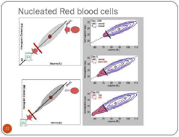 Nucleated Red blood cells 21 