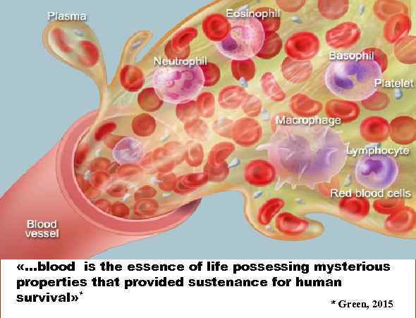  «…blood is the essence of life possessing mysterious properties that provided sustenance for