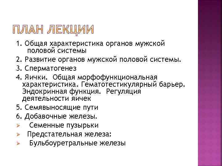 1. Общая характеристика органов мужской половой системы 2. Развитие органов мужской половой системы. 3.