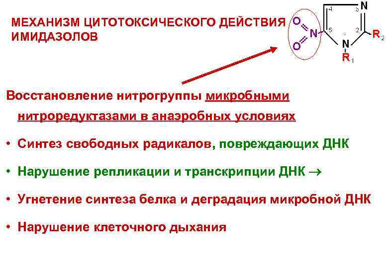 МЕХАНИЗМ ЦИТОТОКСИЧЕСКОГО ДЕЙСТВИЯ ИМИДАЗОЛОВ Восстановление нитрогруппы микробными нитроредуктазами в анаэробных условиях • Синтез свободных