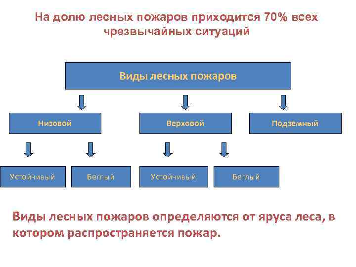 На долю лесных пожаров приходится 70% всех чрезвычайных ситуаций Виды лесных пожаров Низовой Устойчивый