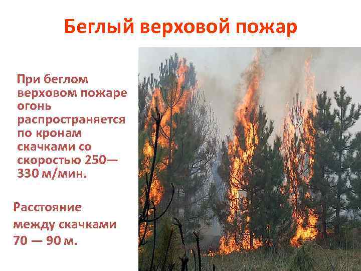 Беглый верховой пожар При беглом верховом пожаре огонь распространяется по кронам скачками со скоростью