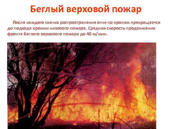 Беглый верховой пожар После каждого скачка распространение огня по кронам прекращается до подхода кромки