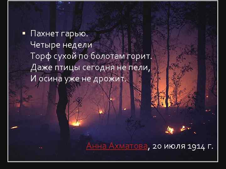  Пахнет гарью. Четыре недели Торф сухой по болотам горит. Даже птицы сегодня не