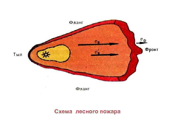 Схема лесного пожара 