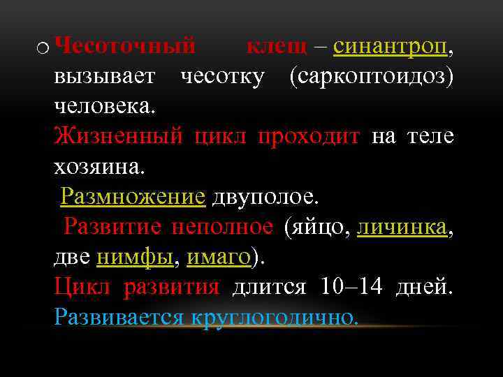 o Чесоточный клещ – синантроп, вызывает чесотку (саркоптоидоз) человека. Жизненный цикл проходит на теле