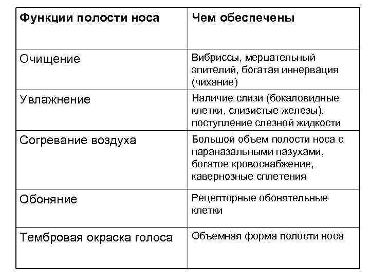 Функции полости носа Чем обеспечены Очищение Вибриссы, мерцательный эпителий, богатая иннервация (чихание) Увлажнение Наличие