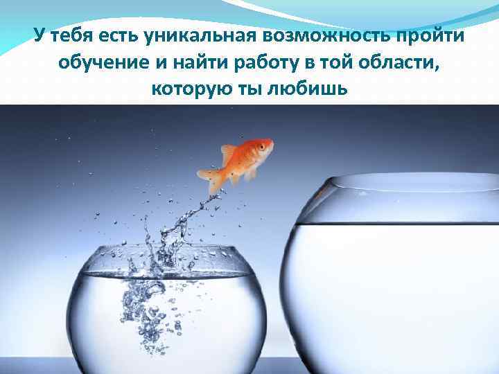 У тебя есть уникальная возможность пройти обучение и найти работу в той области, которую