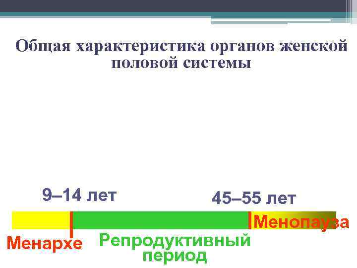 Общая характеристика органов женской половой системы 9– 14 лет 45– 55 лет Менопауза Менархе