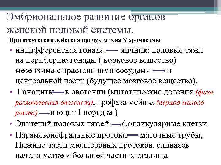 Эмбриональное развитие органов женской половой системы. При отсутствии действия продукта гена Y хромосомы •