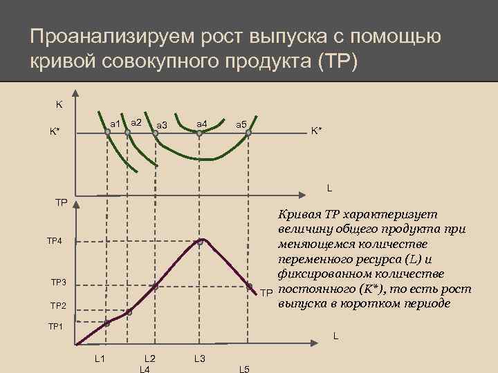 Проанализируем рост выпуска с помощью кривой совокупного продукта (TP) K a 1 K* a