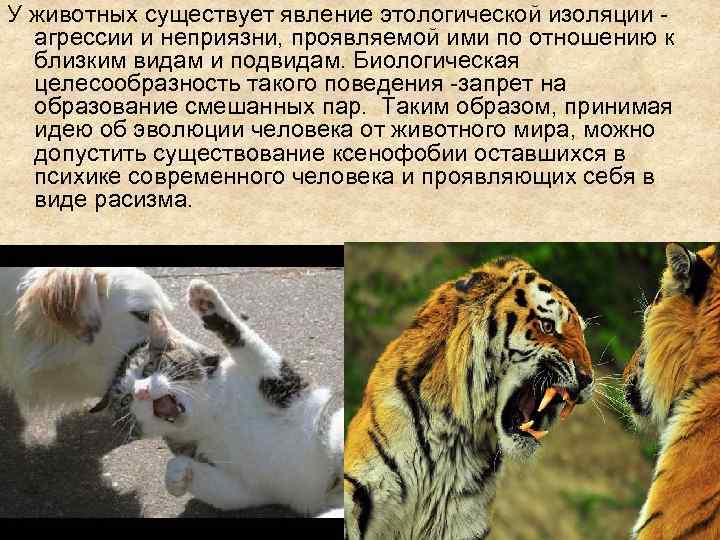 У животных существует явление этологической изоляции агрессии и неприязни, проявляемой ими по отношению к