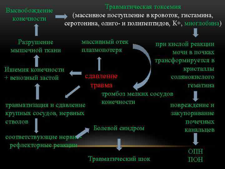 Высвобождение конечности Разрушение мышечной ткани Травматическая токсемия (массивное поступление в кровоток, гистамина, серотонина, олиго-