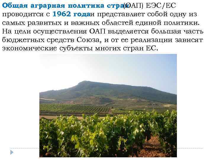 Общая аграрная политика стран (ОАП) ЕЭС/ЕС проводится с 1962 годаи представляет собой одну из