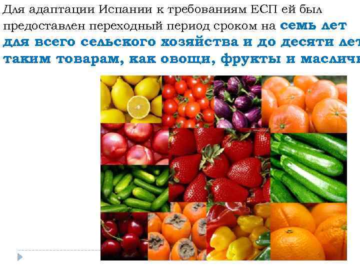 Для адаптации Испании к требованиям ЕСП ей был предоставлен переходный период сроком на семь