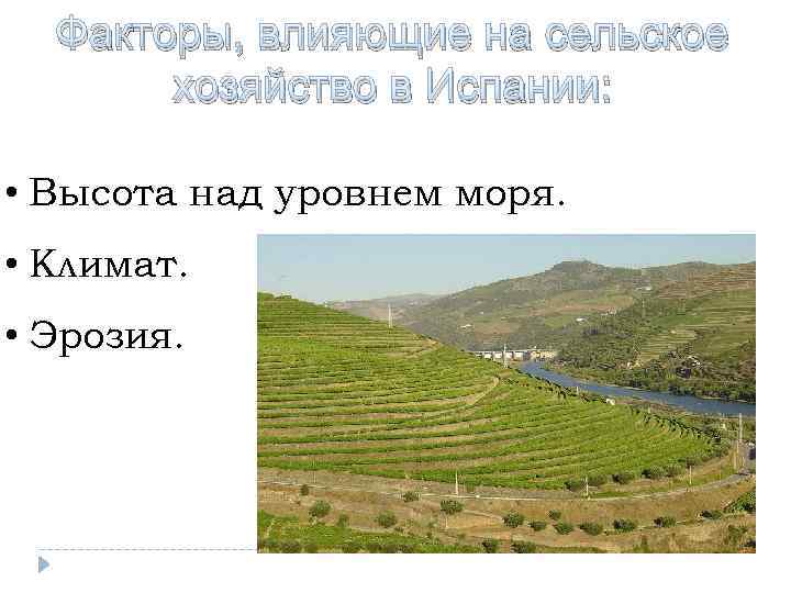 Факторы, влияющие на сельское хозяйство в Испании: • Высота над уровнем моря. • Климат.