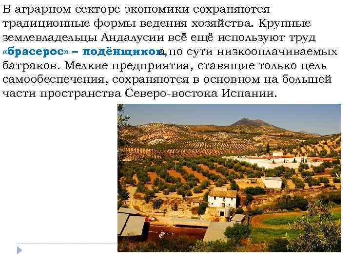 В аграрном секторе экономики сохраняются традиционные формы ведения хозяйства. Крупные землевладельцы Андалусии всё ещё