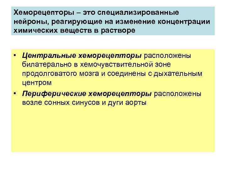 Хеморецепторы – это специализированные нейроны, реагирующие на изменение концентрации химических веществ в растворе •