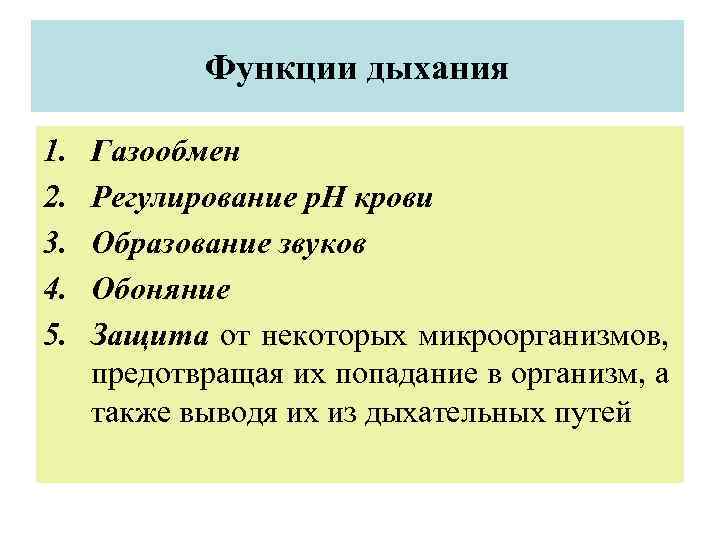 Функции дыхания 1. 2. 3. 4. 5. Газообмен Регулирование р. Н крови Образование звуков
