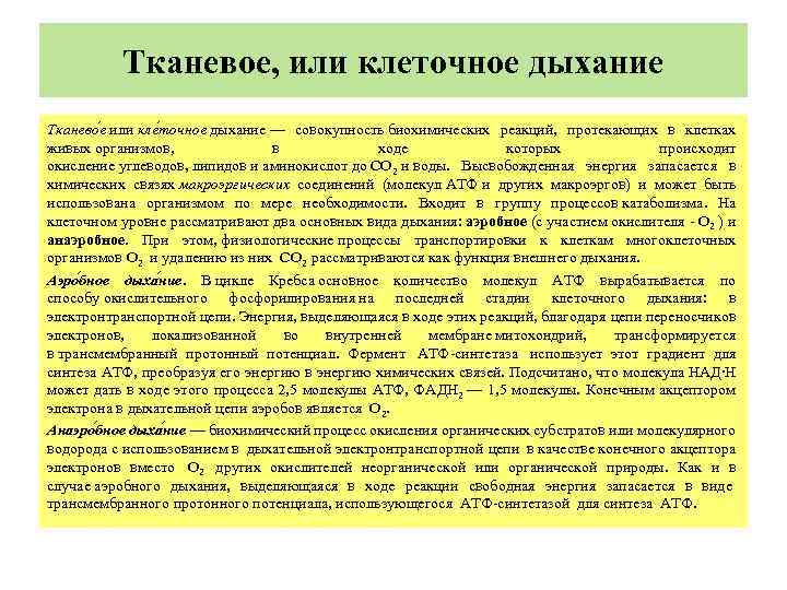 Тканевое, или клеточное дыхание Тканево е или кле точное дыхание — совокупность биохимических реакций,