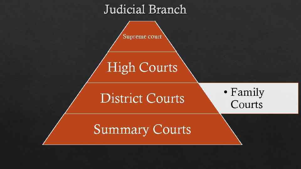 Judicial Branch Supreme court High Courts District Courts Summary Courts • Family Courts 