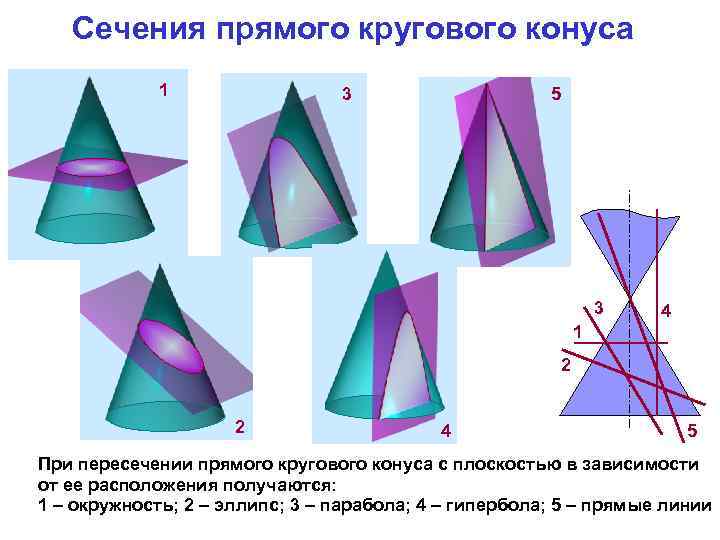 Сечения прямого кругового конуса 1 3 5 3 4 1 2 2 4 5