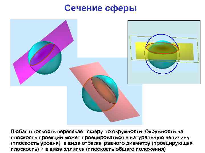 Сечение сферы Любая плоскость пересекает сферу по окружности. Окружность на плоскость проекций может проецироваться