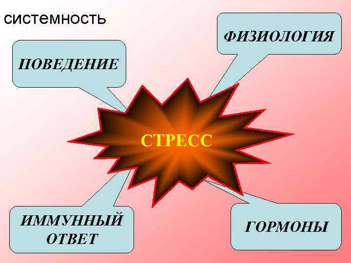 системность ФИЗИОЛОГИЯ ПОВЕДЕНИЕ СТРЕСС ИММУННЫЙ ОТВЕТ ГОРМОНЫ 