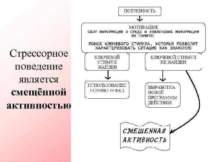 Стрессорное поведение является смещённой активностью 