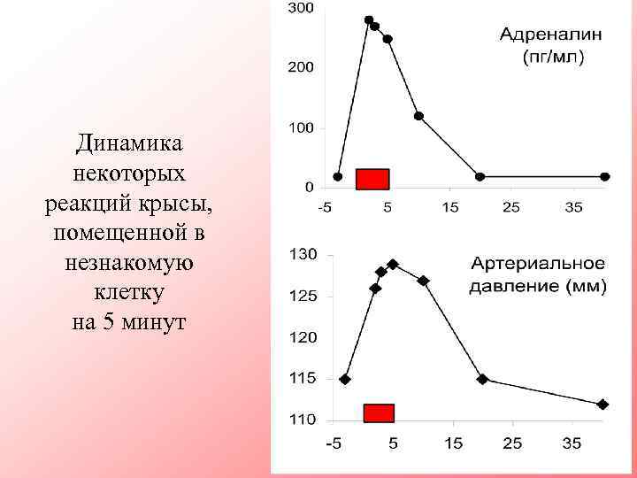 Динамика некоторых реакций крысы, помещенной в незнакомую клетку на 5 минут 
