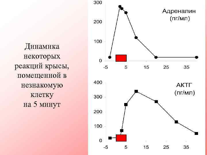 Динамика некоторых реакций крысы, помещенной в незнакомую клетку на 5 минут 