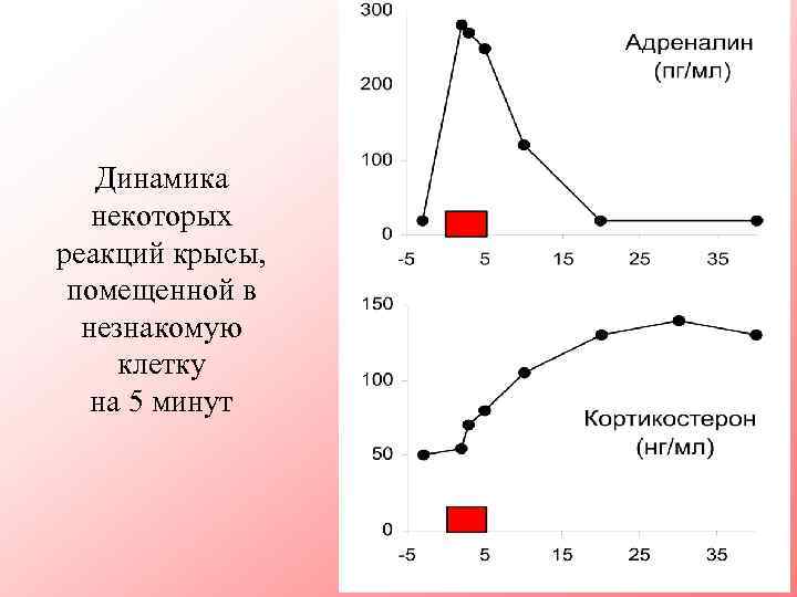 Динамика некоторых реакций крысы, помещенной в незнакомую клетку на 5 минут 