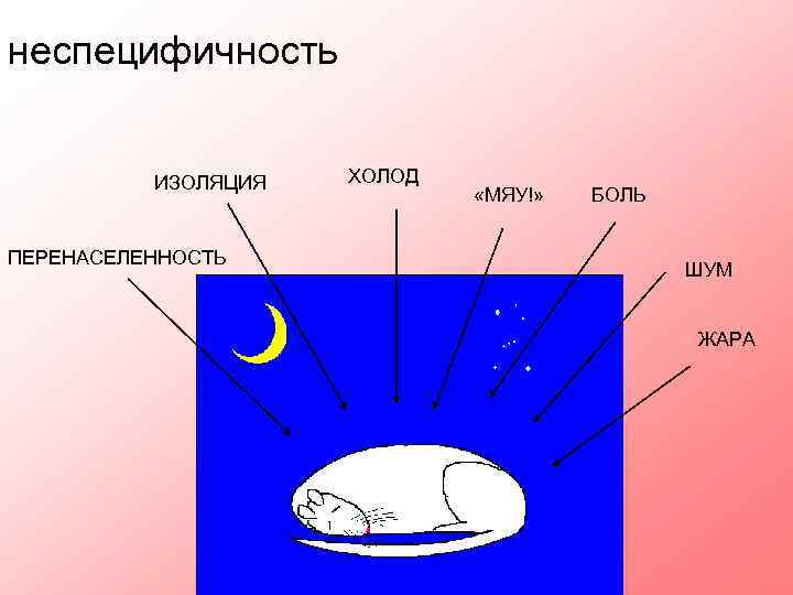 неспецифичность ИЗОЛЯЦИЯ ПЕРЕНАСЕЛЕННОСТЬ ХОЛОД «МЯУ!» БОЛЬ ШУМ ЖАРА 