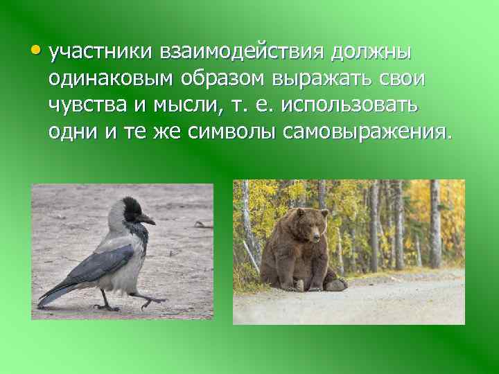  • участники взаимодействия должны одинаковым образом выражать свои чувства и мысли, т. е.