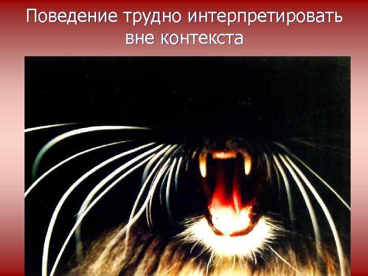 Поведение трудно интерпретировать вне контекста 