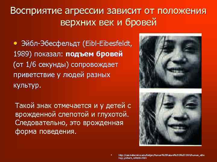 Восприятие агрессии зависит от положения верхних век и бровей • Эйбл-Эбесфельдт (Eibl-Eibesfeldt, 1989) показал: