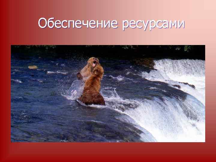 Обеспечение ресурсами 