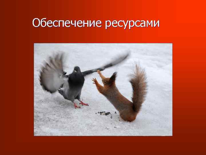 Обеспечение ресурсами 