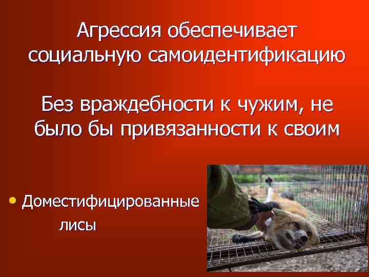 Агрессия обеспечивает социальную самоидентификацию Без враждебности к чужим, не было бы привязанности к своим